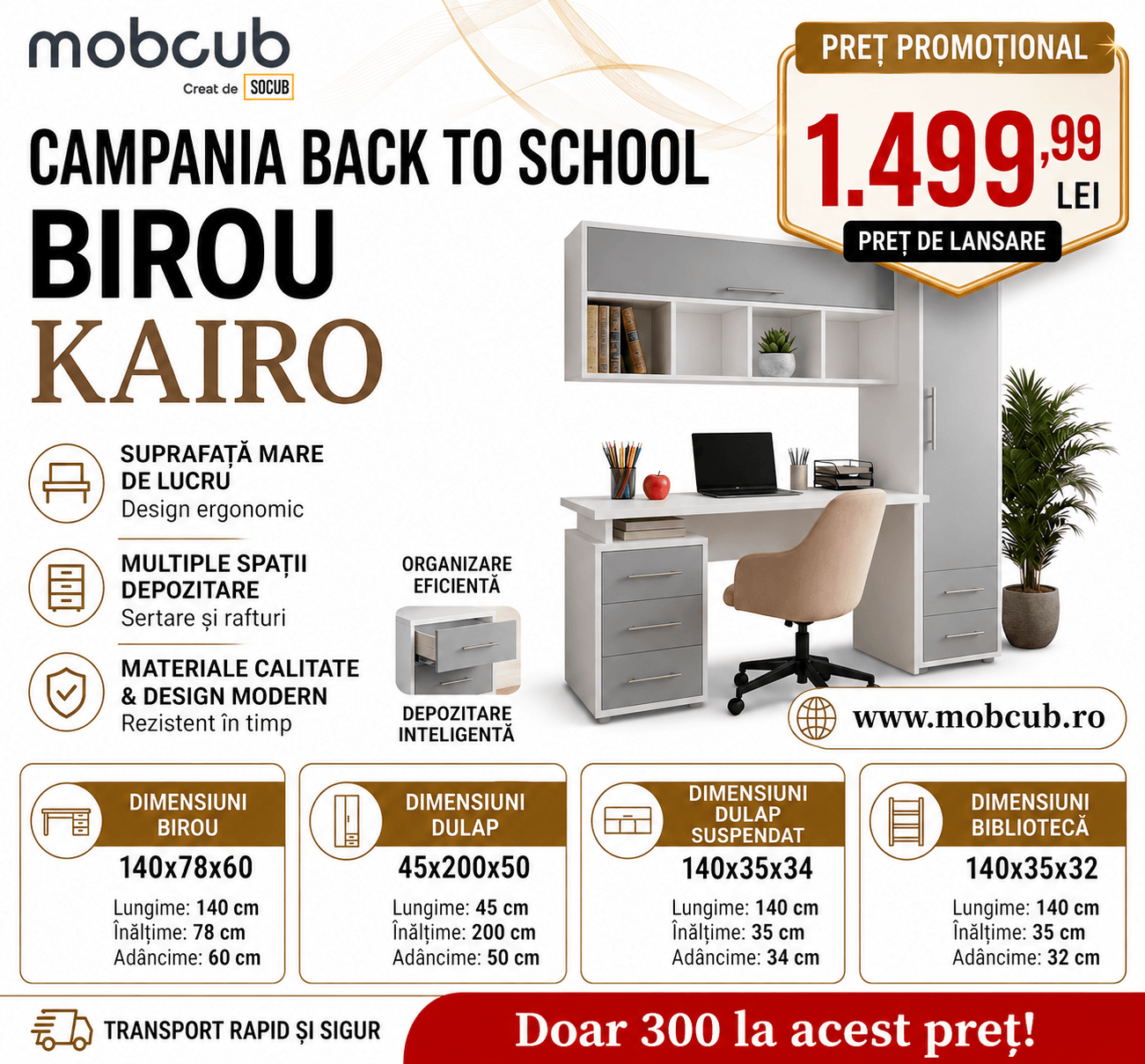 Birou Kairo - Ofertă Limitată
